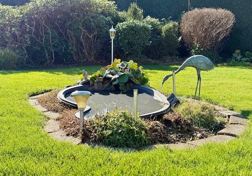 Kleiner Teich im Garten