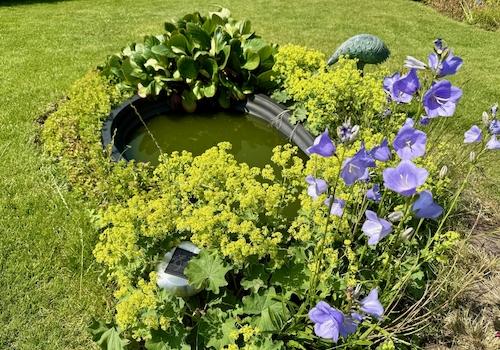 Kleiner Teich Garten