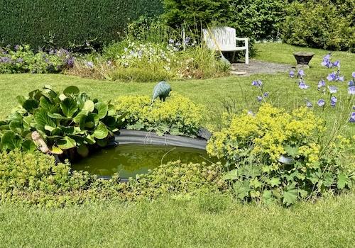 Kleiner Teich Garten