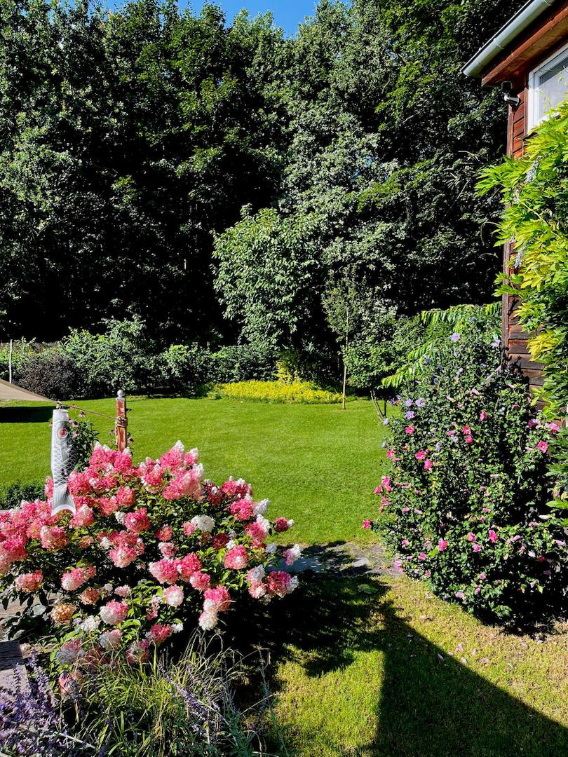 schön angelegter Garten