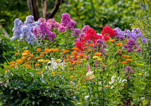 Grundstück Fröndenberg - Nutzung als Ziergarten