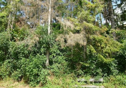 Grundstück Menden-Asbeck