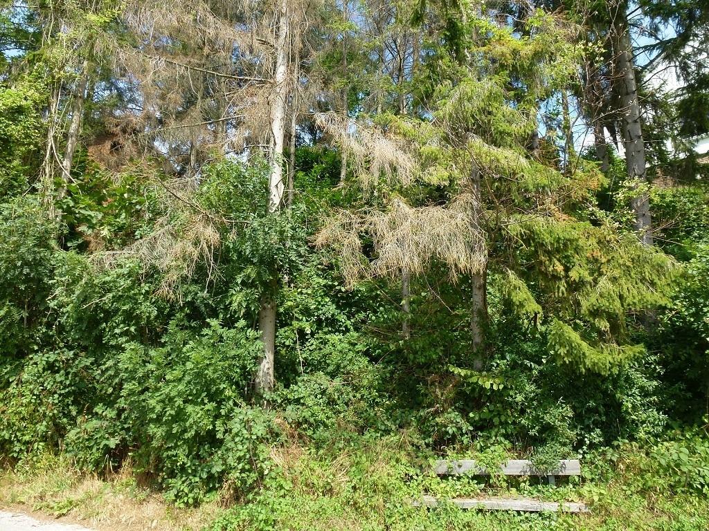 Grundstück Menden-Asbeck