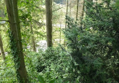 Grundstück Menden-Asbeck