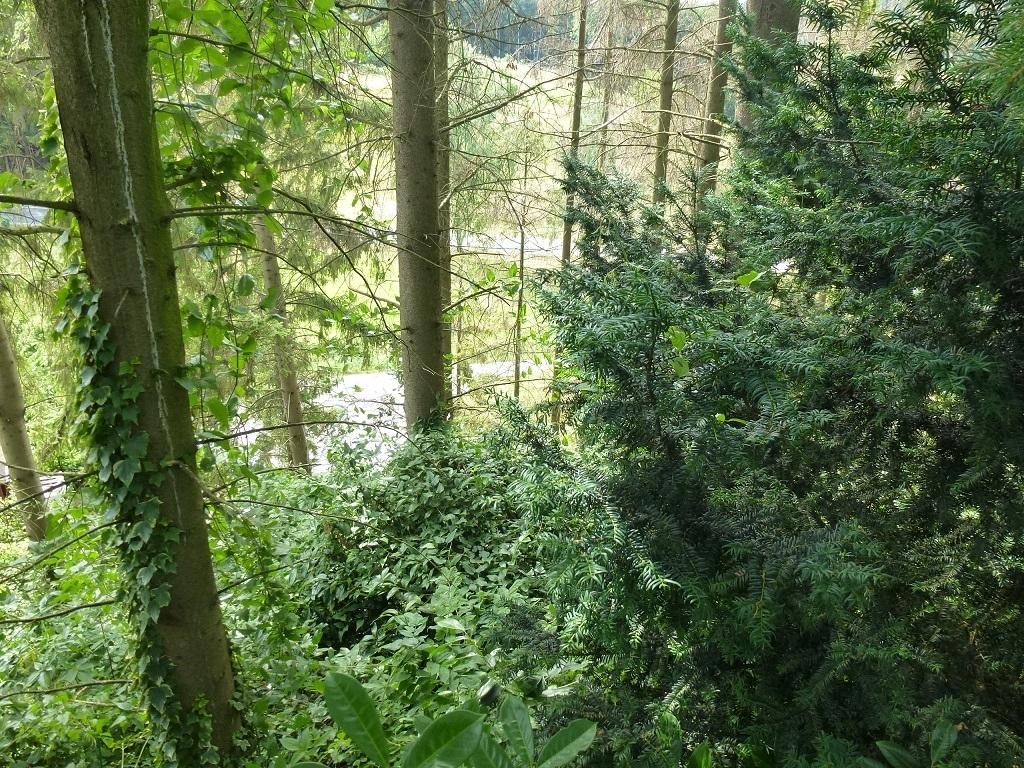 Grundstück Menden-Asbeck