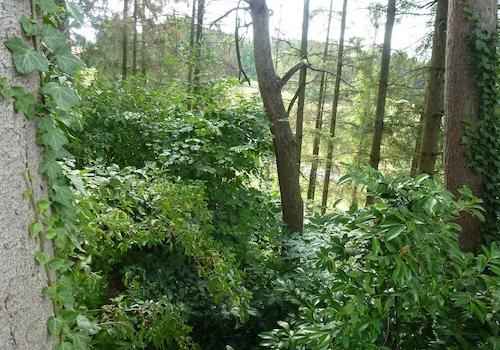 Grundstück Menden-Asbeck