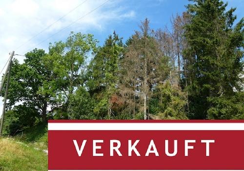 Grundstück Menden-Asbeck