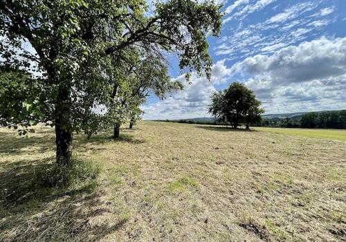 Baugrundstück Fröndenberg