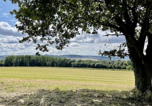 Baugrundstück Fröndenberg