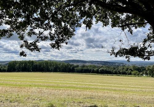 Baugrundstück Fröndenberg