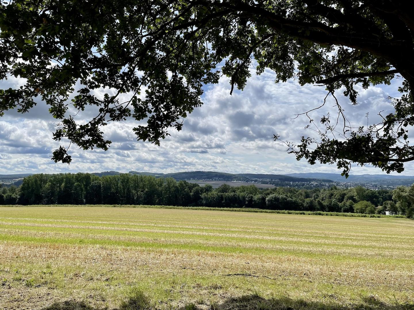 Baugrundstück Fröndenberg