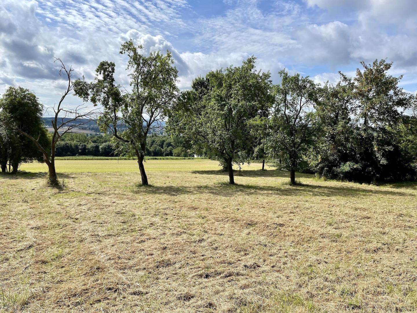 Baugrundstück Fröndenberg