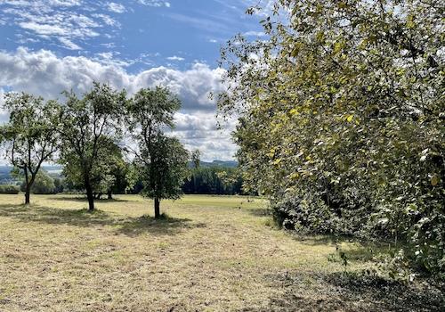 Baugrundstück Fröndenberg
