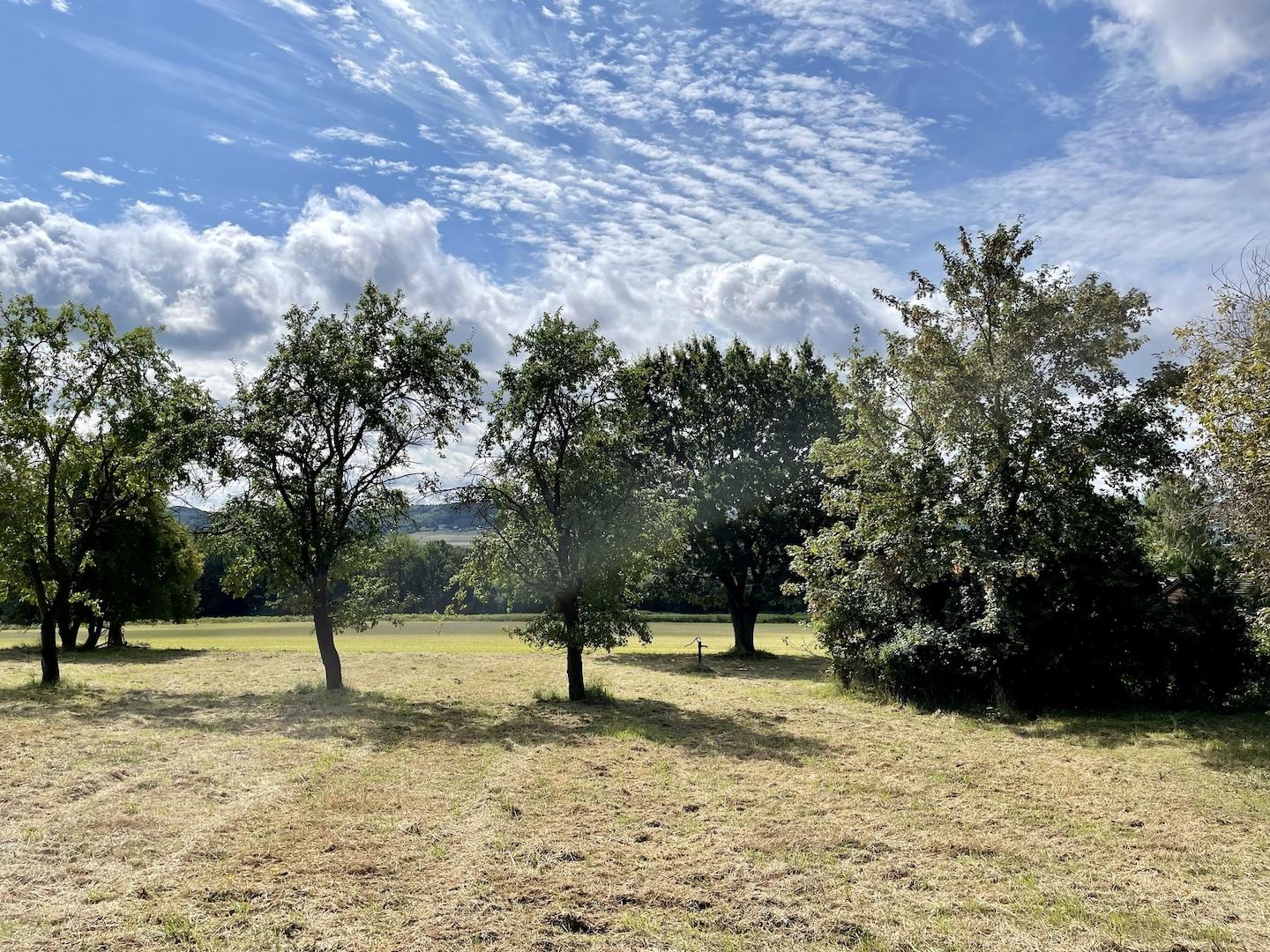 Baugrundstück Fröndenberg