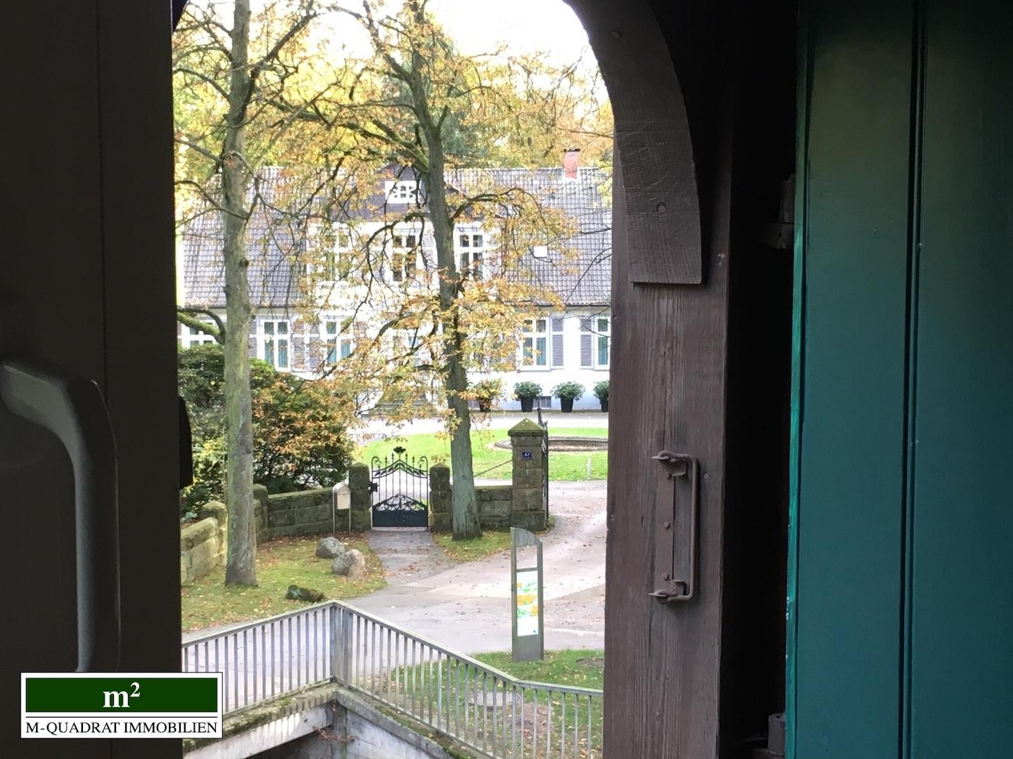 Ausblick DG