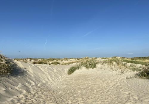 Dünen und Strand