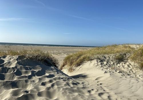 Dünen und Strand