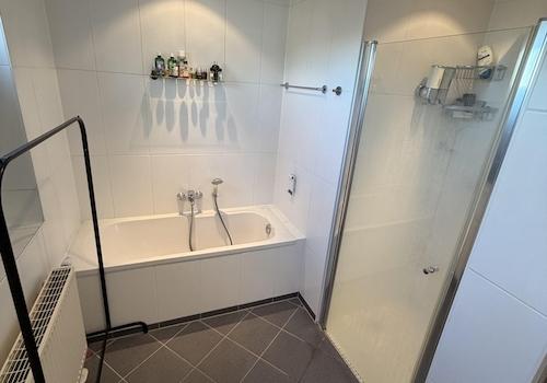 Hauptbad Dusche/Badewanne