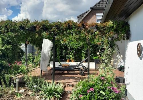 sommerliche Eindrücke