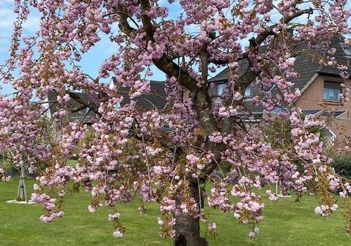 auch im Frühjahr toll