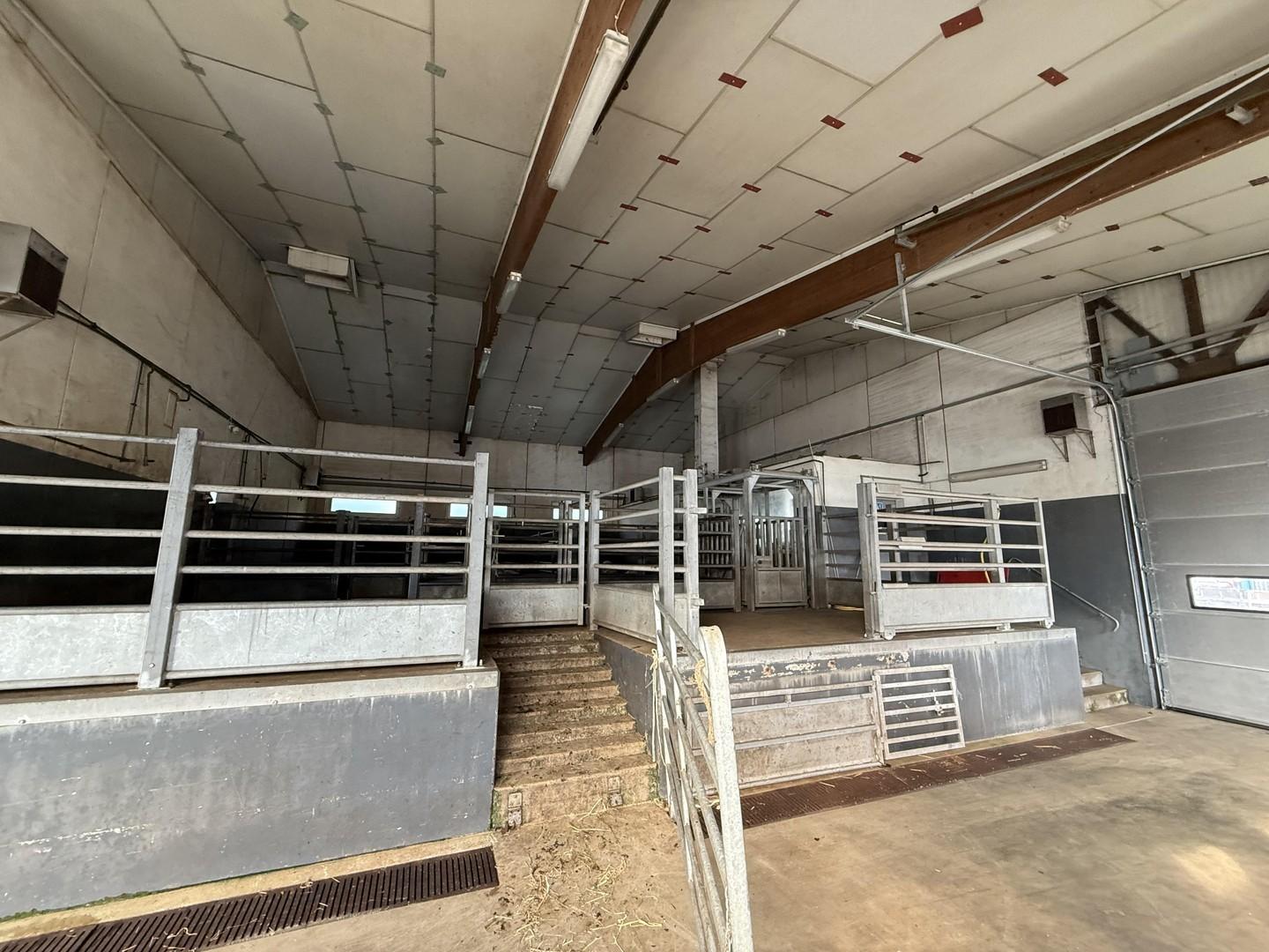 Viehhalle innen