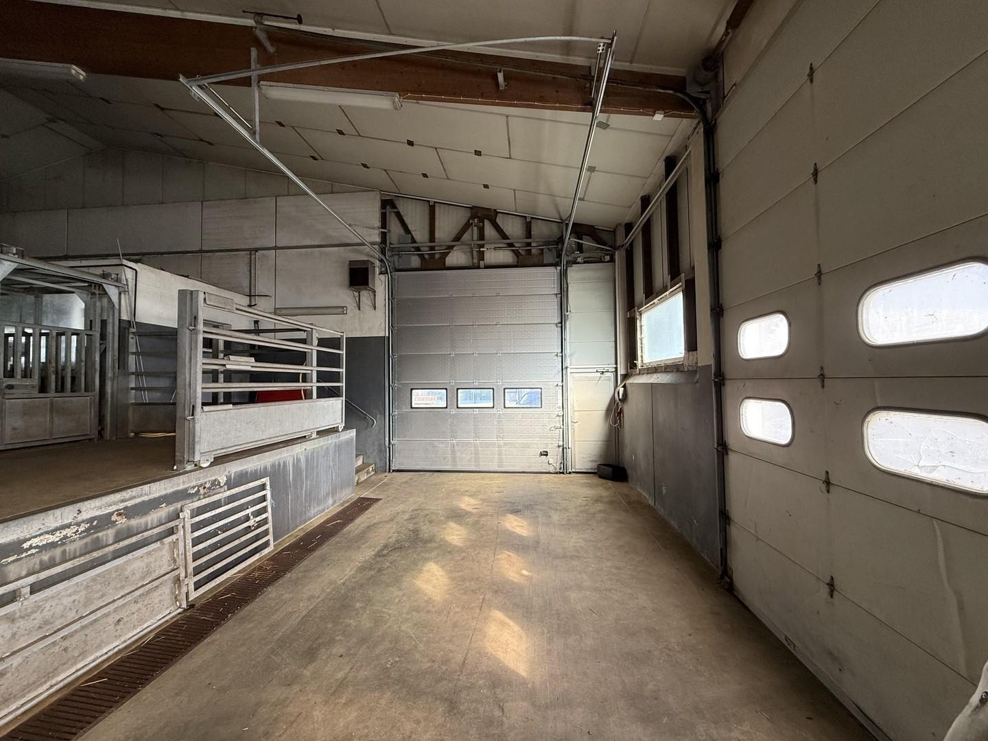 Viehhalle innen