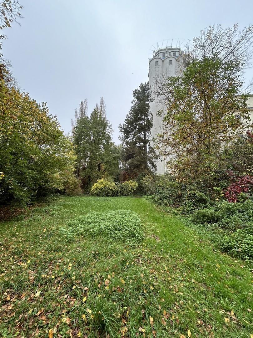 Außenbereich Mühle (Garten)