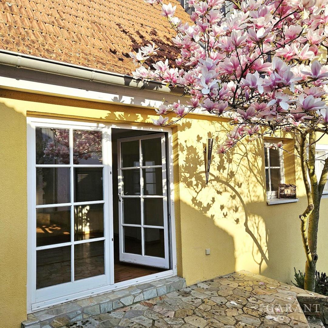 Ausgang Terrasse/Garten