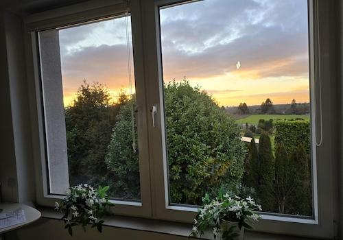 Ausblick Esszimmer OG