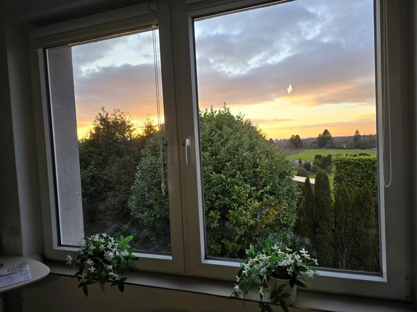 Ausblick Esszimmer OG