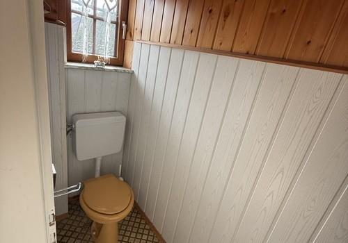 Gäste-WC (1)