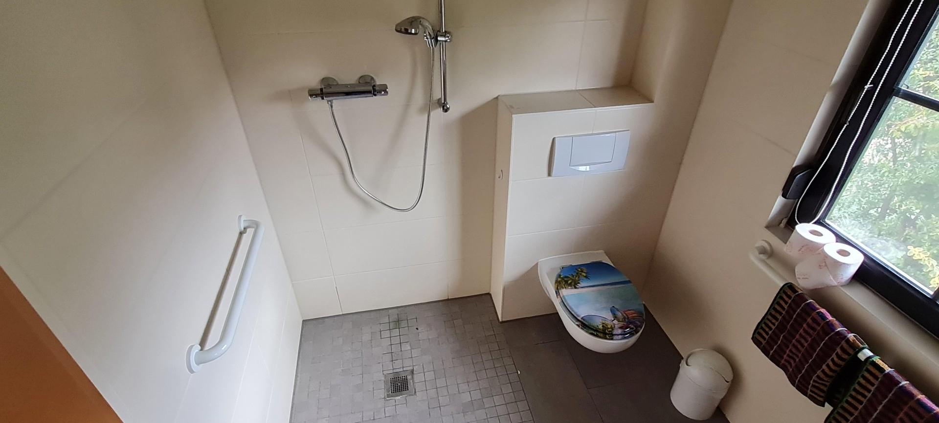 Barrierefreies Bad/Dusche EG
