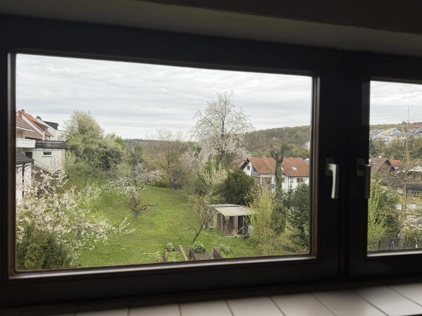 Aussicht nach Westen