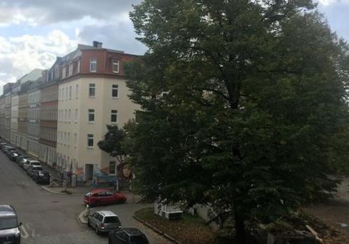 Aussicht zur Straße