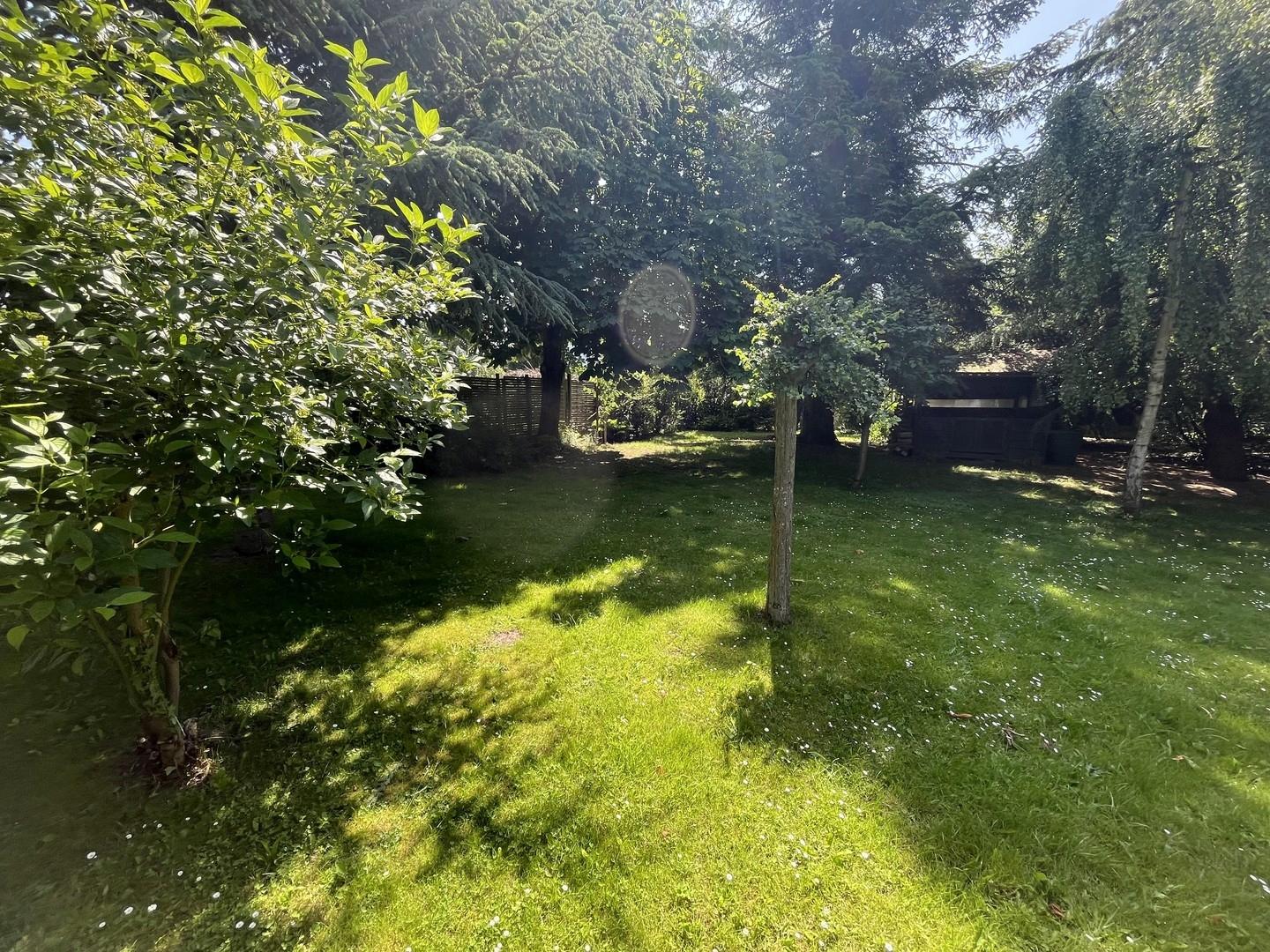 Garten mit zweitem Gartenhaus