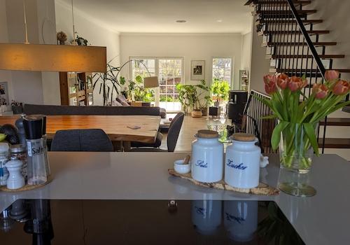 Blick Küche - Garten