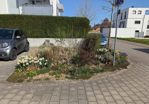 Tieferliegendes Gartenstück