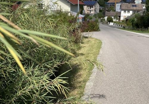 Ansicht Straße Sackgasse