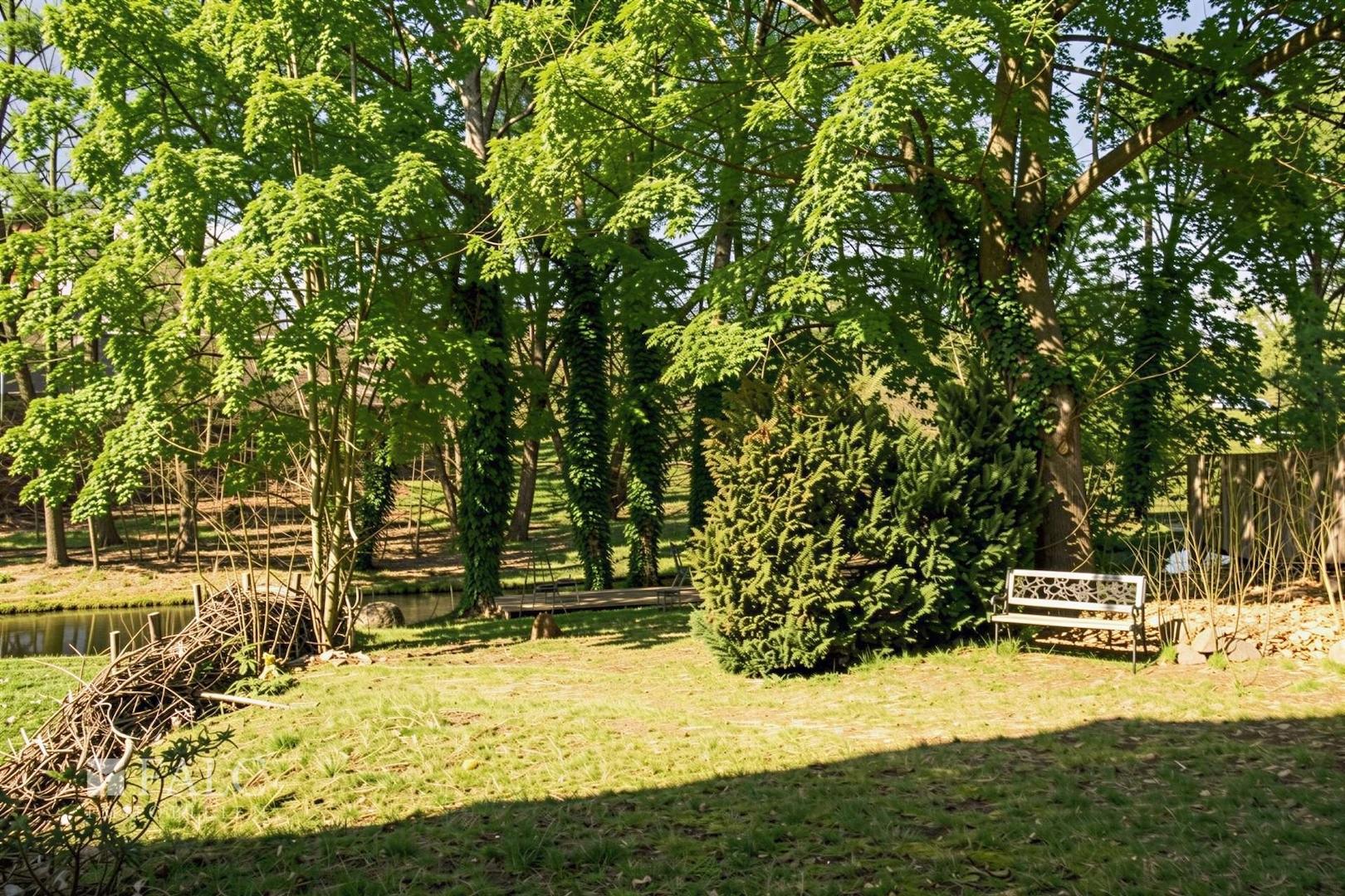 Garten I