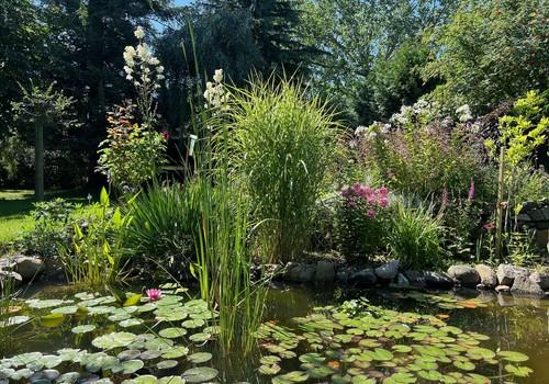 Wunderschöner Garten