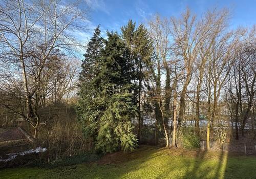 Blick auf den Eichtalpark