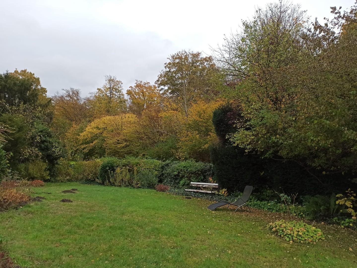 Unverbaubarer Blick ins Grüne