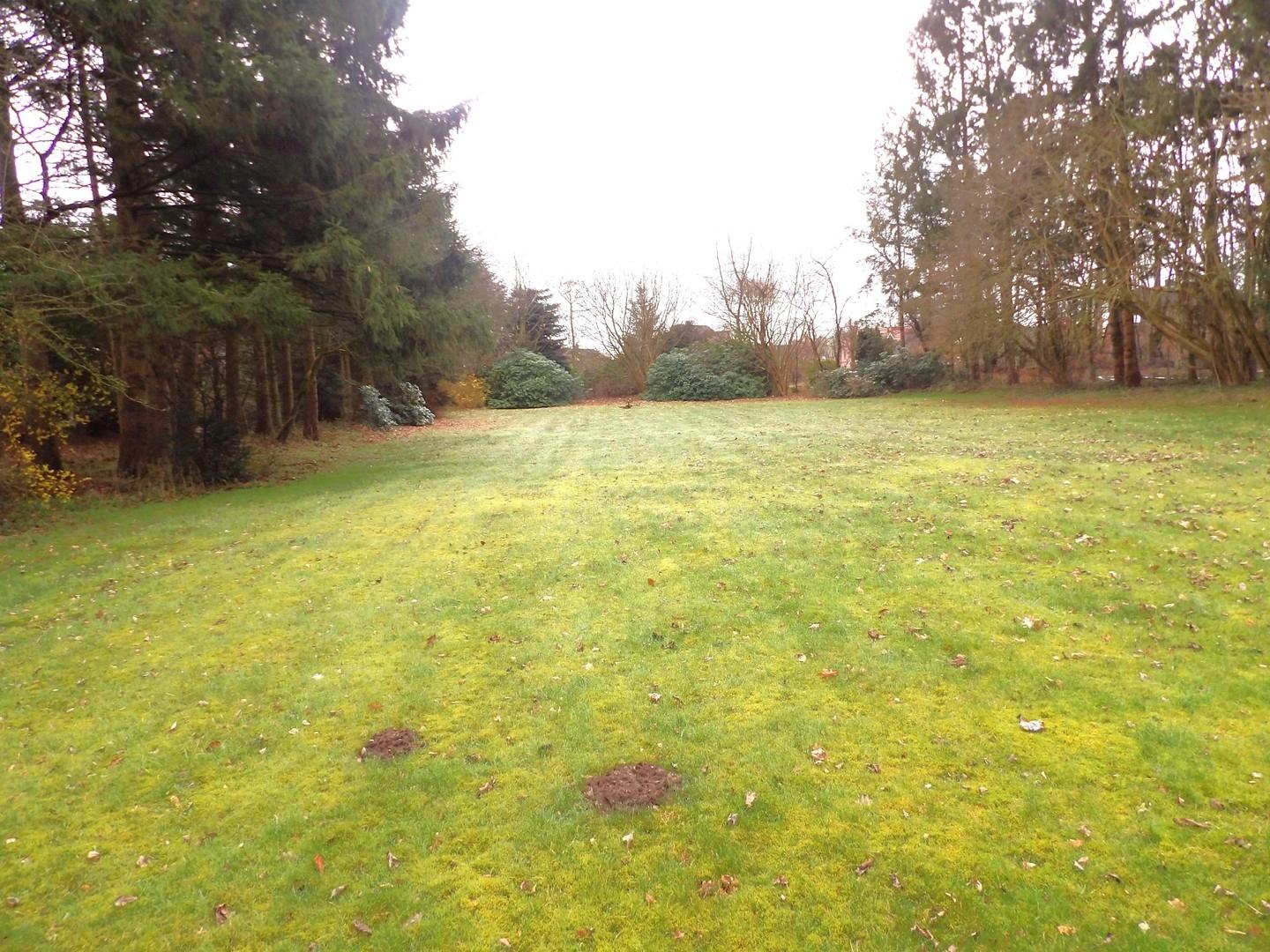 Grundstück nach Süden