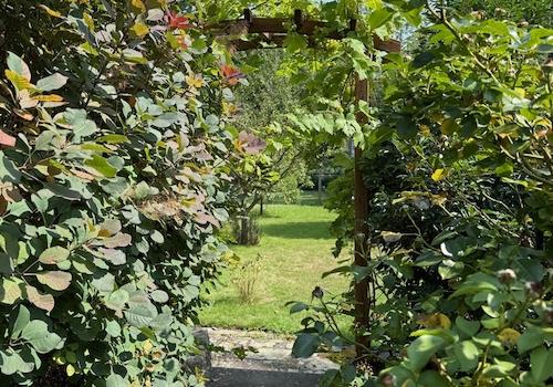 weitere Ansicht vom Grundstück