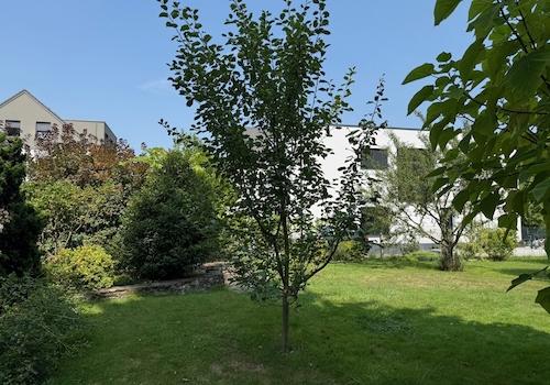 weitere Ansicht vom Grundstück