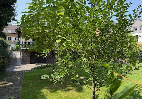 weitere Ansicht vom Grundstück