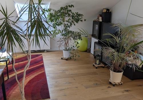 Kinder-/Schlafzimmer 3 im DG