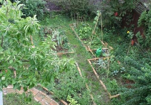 Gemüsegarten vom Balkon