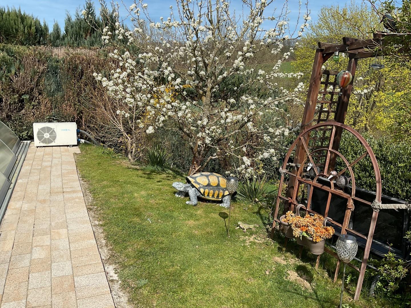 Grundstück Heizung Pool