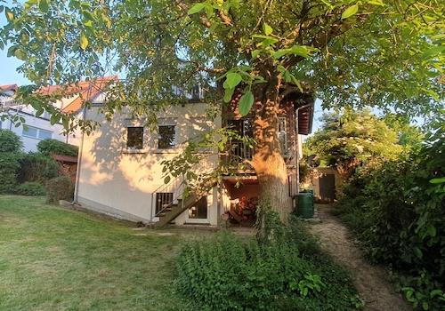 Rückseite Haus / Gartenansicht